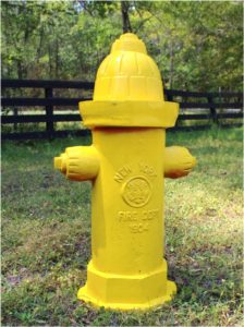 Yellow New York fire hydrant.